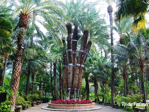 entradas jardÍn botÁnico huerto del cura