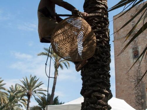 traditional palm climber exhibits