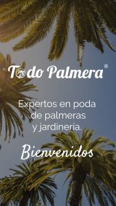 tienda productos palmeras