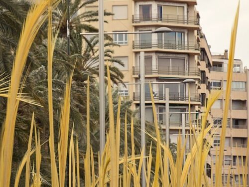 palme blanche dimanche des rameaux