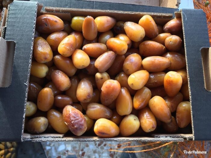 frozen fresh dates