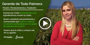 tienda productos palmeras