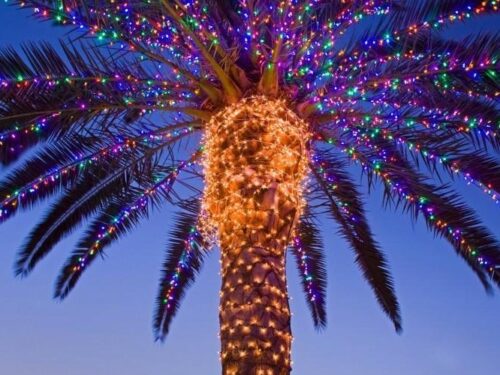 instalaciÓn de luces y guirnaldas de navidad