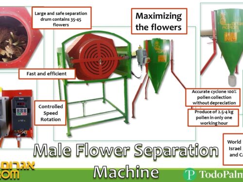 polen separating machine (male palm)