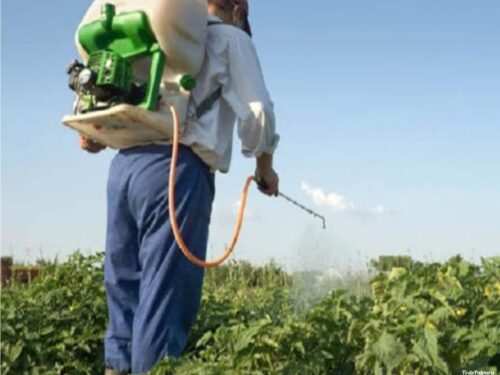traitement de cours et applicateur de niveau qualifie de pesticides phytosanitaires