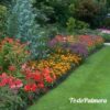 mantenimiento de jardines   pida presupuesto!!