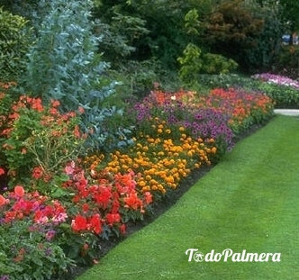 Jardín con flores