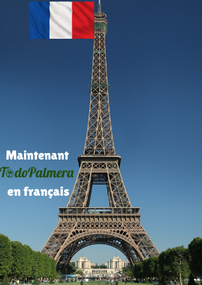 todopalmera en francés