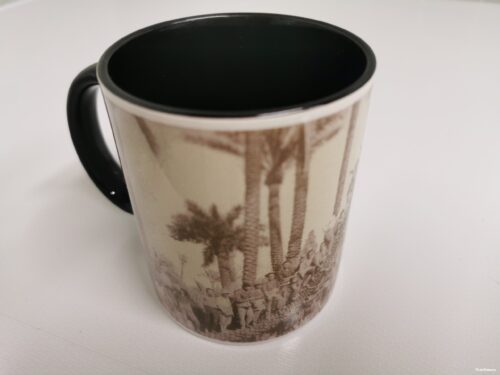 the cup of the palm trees of todopalmera