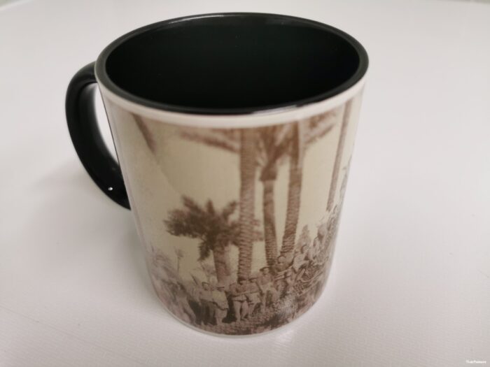 the cup of the palm trees of todopalmera