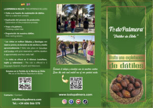 visit a date farm