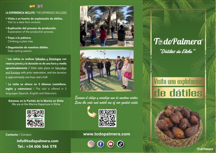 visitez une exploitation de dates