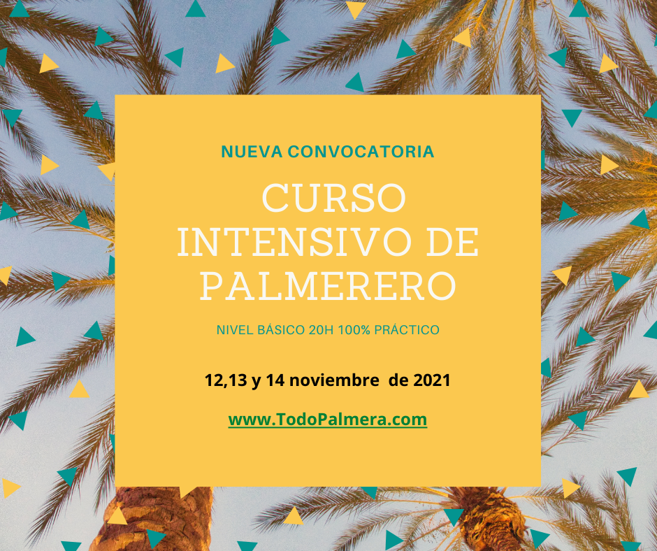 cursos de palmerero