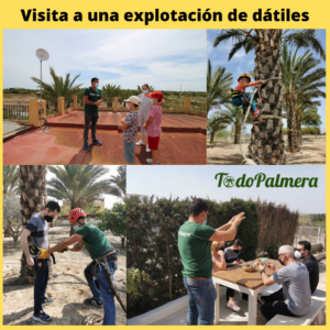 visit a date farm