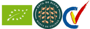 Dátil elche Calidad CV